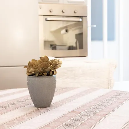 Regina Apartment Split